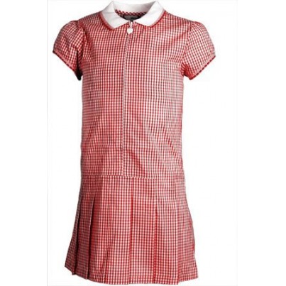 Gingham Summer Dress - Zip Front